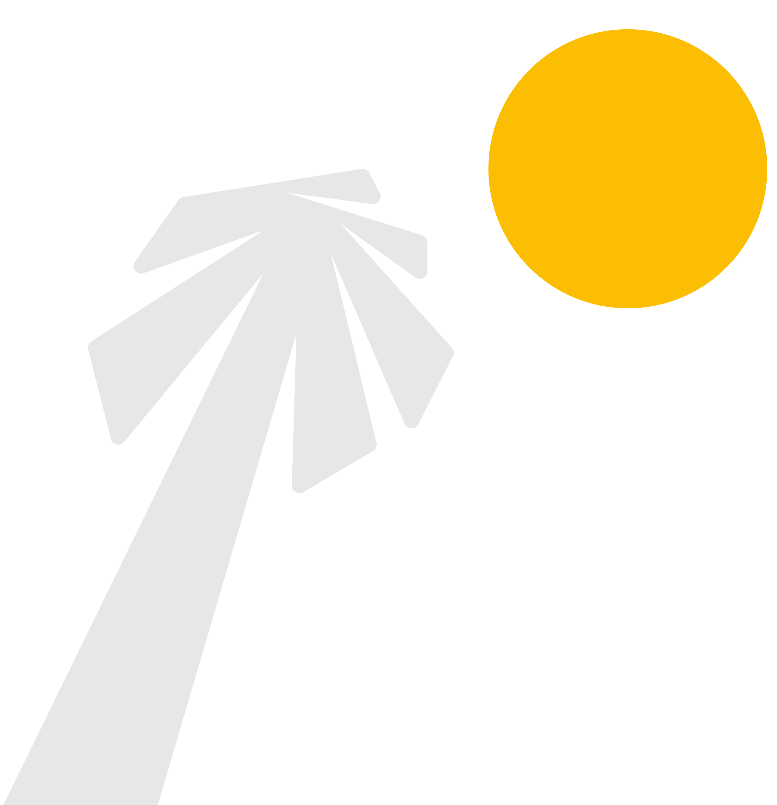 Palmsun